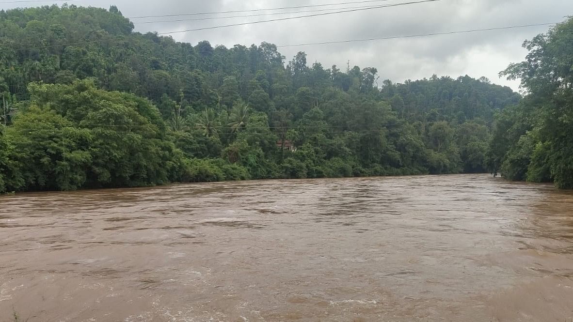 <div class="paragraphs"><p>Bhadra river is in spate near Kalasa.</p></div>